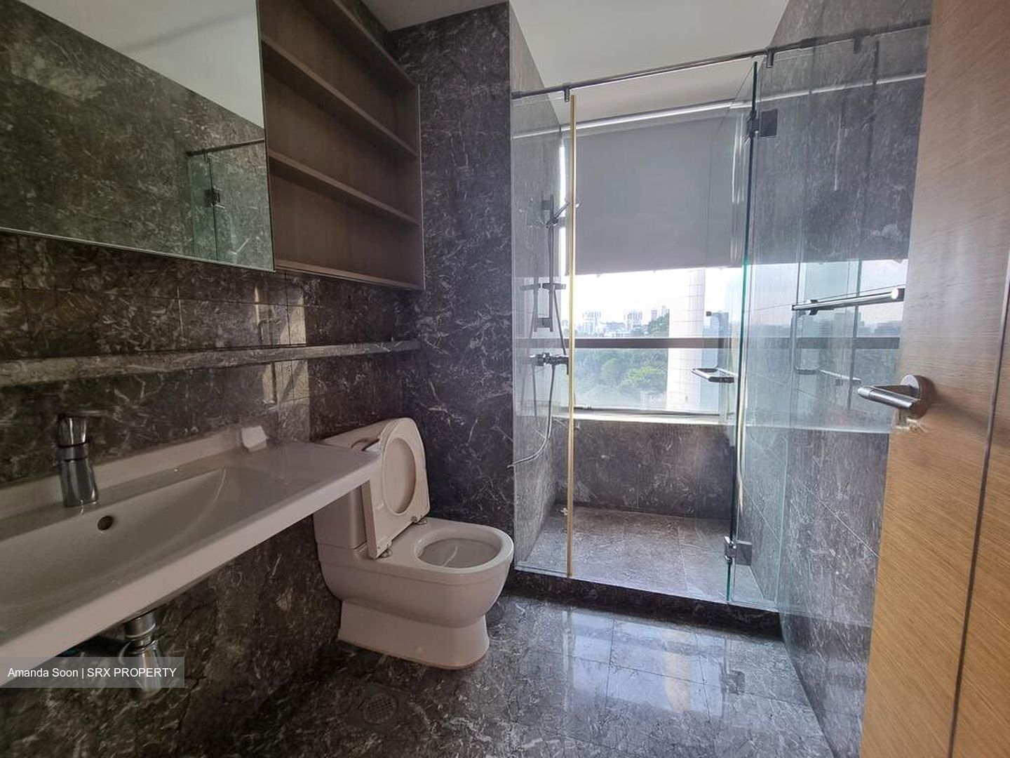 Suites @ Cairnhill (D9), Apartment #609659641